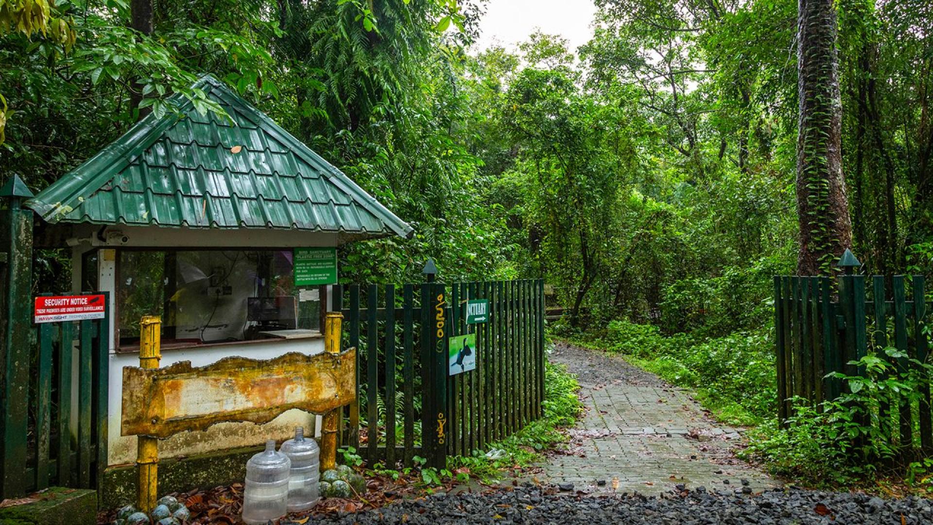 Famous Bird Sanctuaries in Kerala: Complete Birdwatching Guide 2026