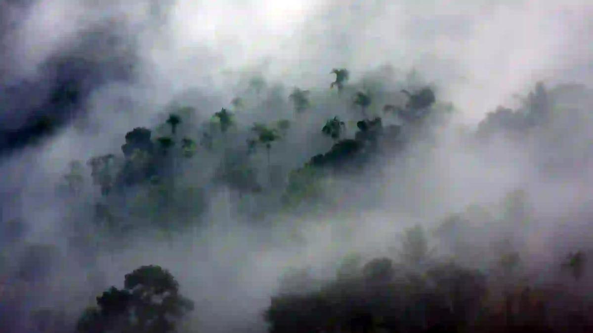 Vagamon meadows green hills