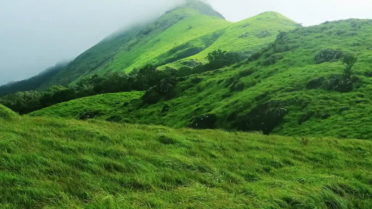 Chembra Peak - beautiful heart-shaped lake.
