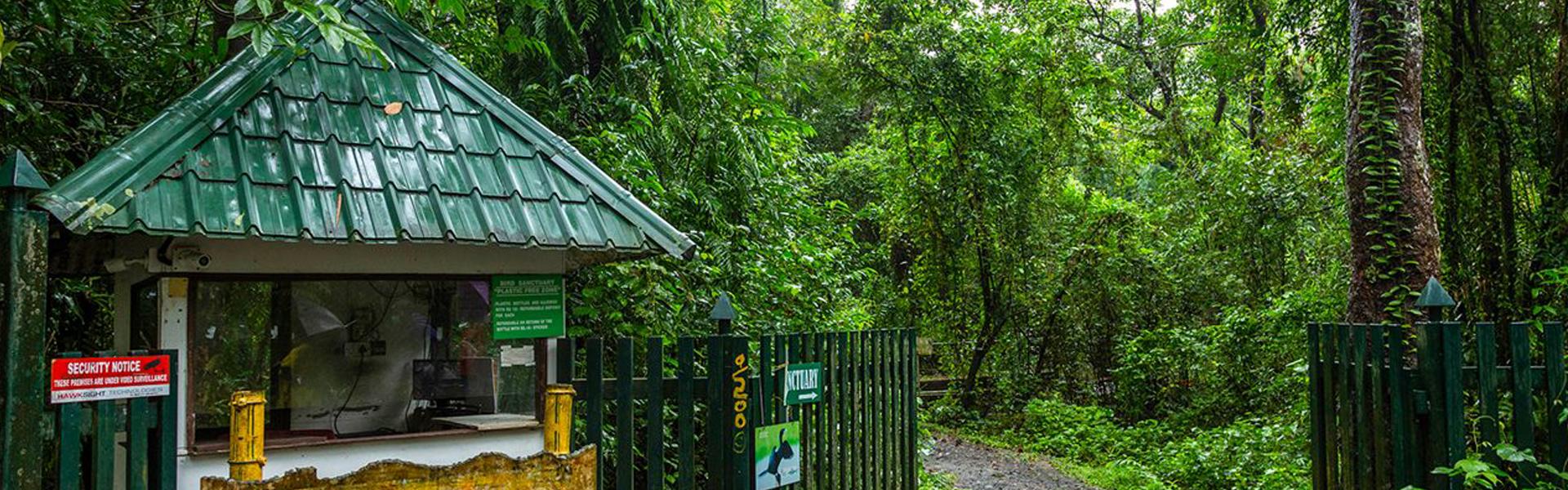 Famous Bird Sanctuaries in Kerala: Complete Birdwatching Guide 2026