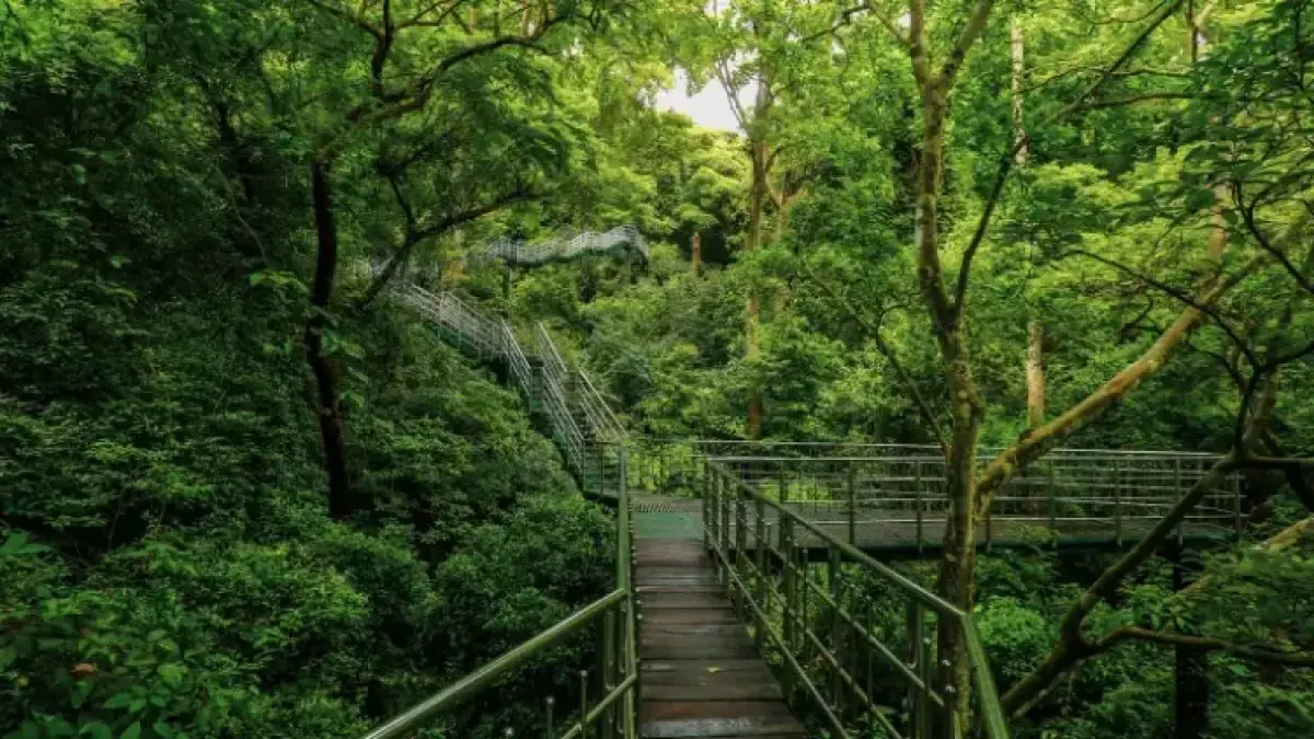 Thenmala Eco-Tourism